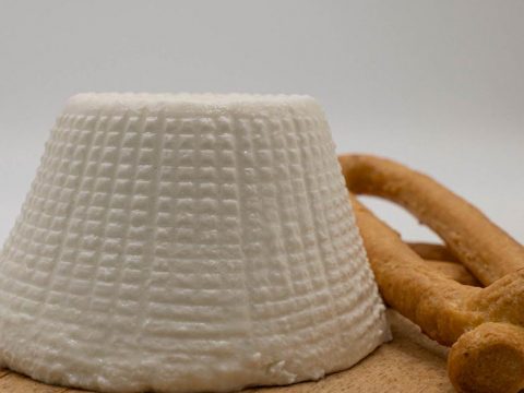 Ricotta